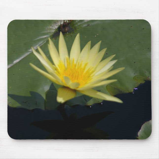 Gelbe Wasserlilie Mousepad (Vorne)