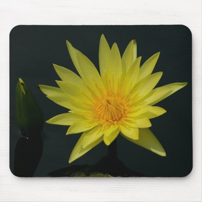 Gelbe Wasserlilie Mousepad (Vorne)