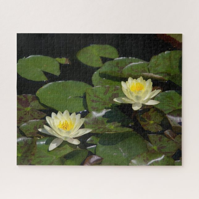 Gelbe Wasserlilien Jigsaw Puzzle (Horizontal)