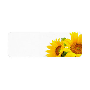 Gelbe Wedding Sonnenblumen oder allgemeine