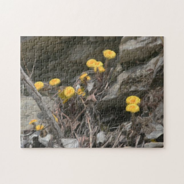 Gelbe wild lebende Blume in Rockölmalereien (Horizontal)
