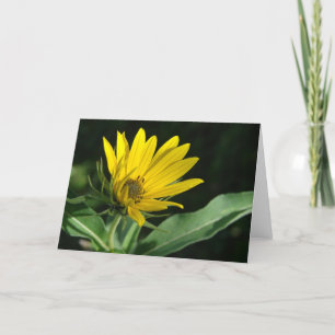 Gelbe Wildblume Jede Anlässe Karte