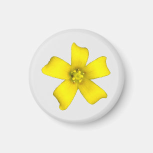Gelbe Wildblume Magnet