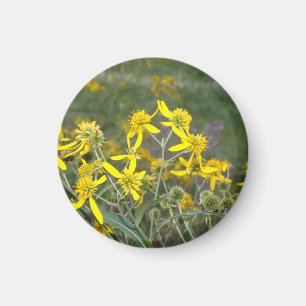 Gelbe Wildblume Magnet