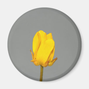 Gelbe Wildblume Magnet