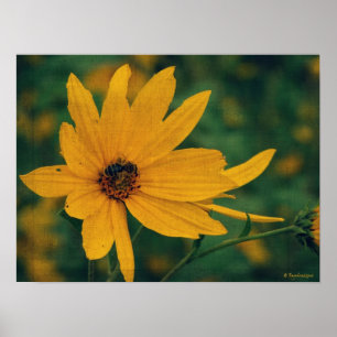 Gelbe Wildblume und Biene Poster