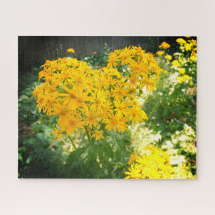 Gelbe Wildblumen