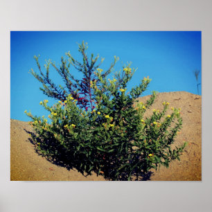 Gelbe Wildblumen im Sand Poster
