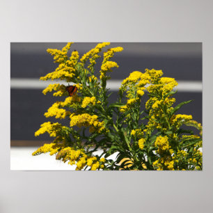 Gelbe Wildblumen mit Butterfly-Poster Poster