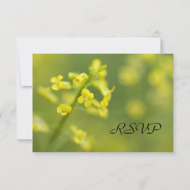 Gelbe Wildblumen RSVP-Antwortkarte für Hochzeiten RSVP Karte (Vorderseite)