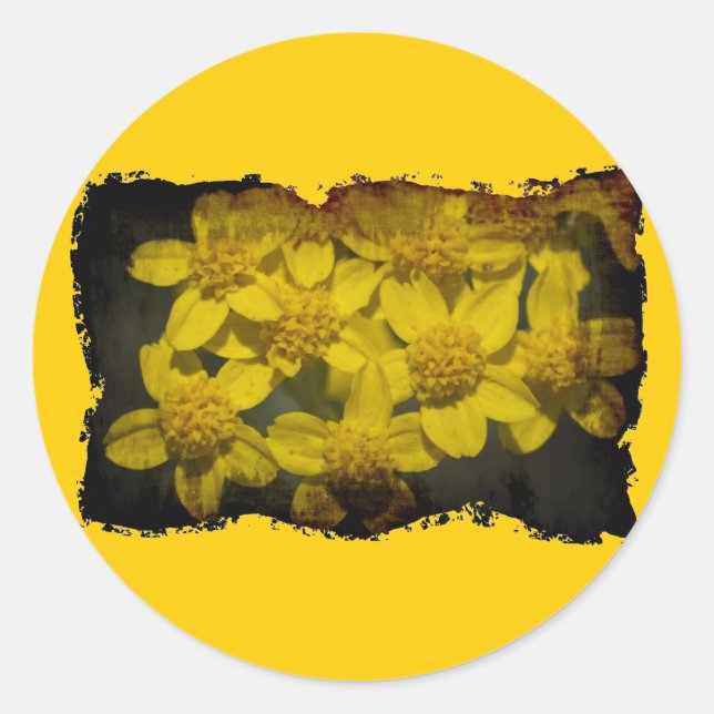 Gelbe Wildblumen Runder Aufkleber (Vorderseite)