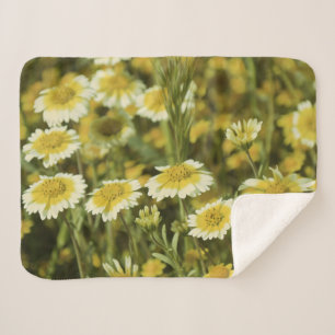 Gelbe Wildblumen Sherpadecke