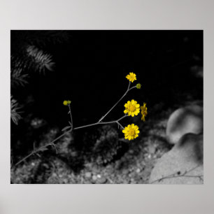 Gelbe Wildblumen unter einem Baum 16x20 farbig Poster