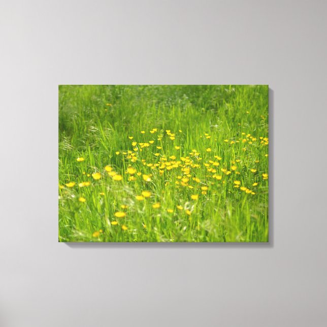 Gelbe Wilde Blume Botanische Blumenfotografie Leinwanddruck (Vorderseite)