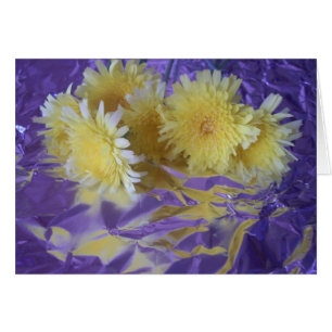 Gelbe wilde Wüstenblumen auf Folienfoto reflektier