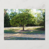 Gelbe Ziegelstraße 2 Postkarte