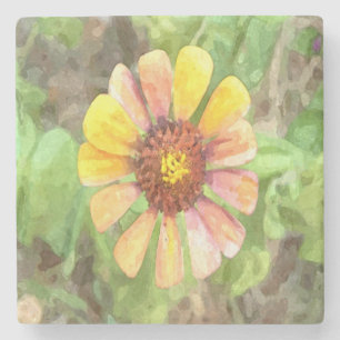 Gelbe Zinnia-Blume Steinuntersetzer