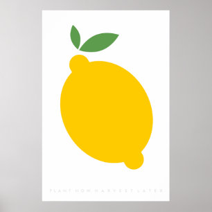 Gelbe Zitronen-Retro Plakatsechziger jahre Poster