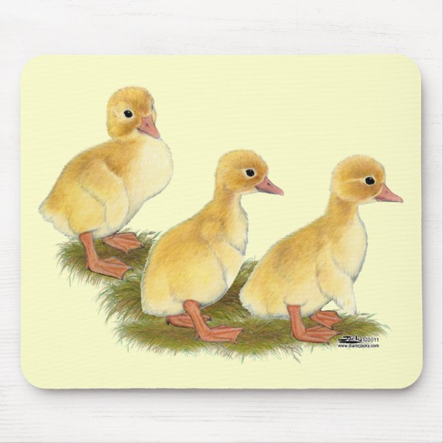 Gelben Entenküken Mousepad (Vorne)