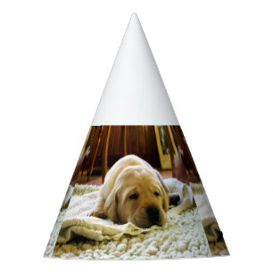 Gelber 2-Labrador-Welpe Partyhütchen