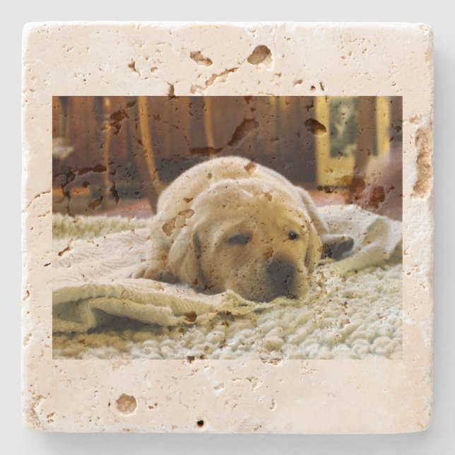 Gelber 2-Labrador-Welpe Steinuntersetzer (Vorderseite)