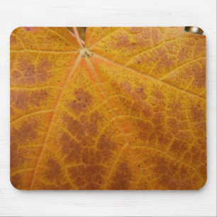 Gelber Ahornblatt Herbst Abstrakt Natur Mousepad