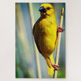 Gelber Bird