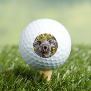 gelber, blühender Wattbaum mit Koala, Golfball