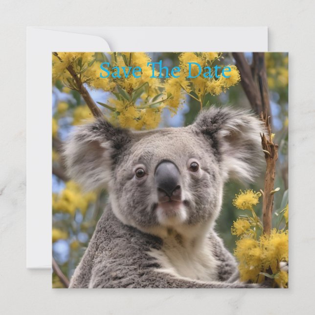 gelber, blühender Wattbaum mit Koala, Save The Date (Vorderseite)