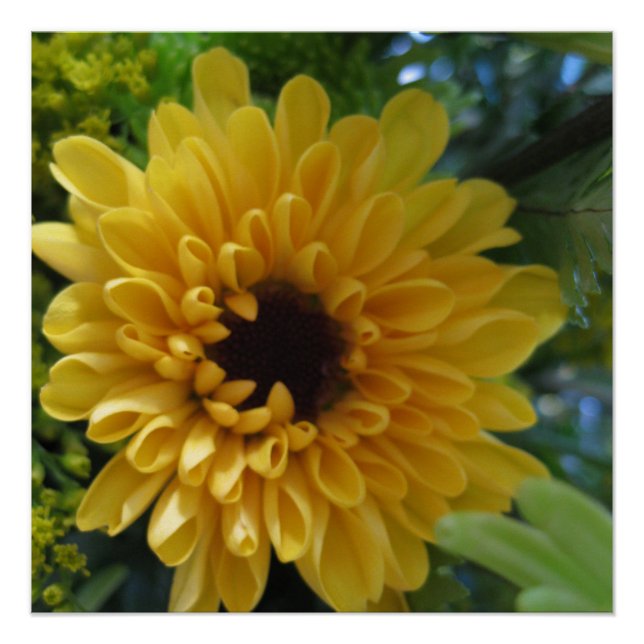 Gelber Blumenposter Druck (Vorderseite)