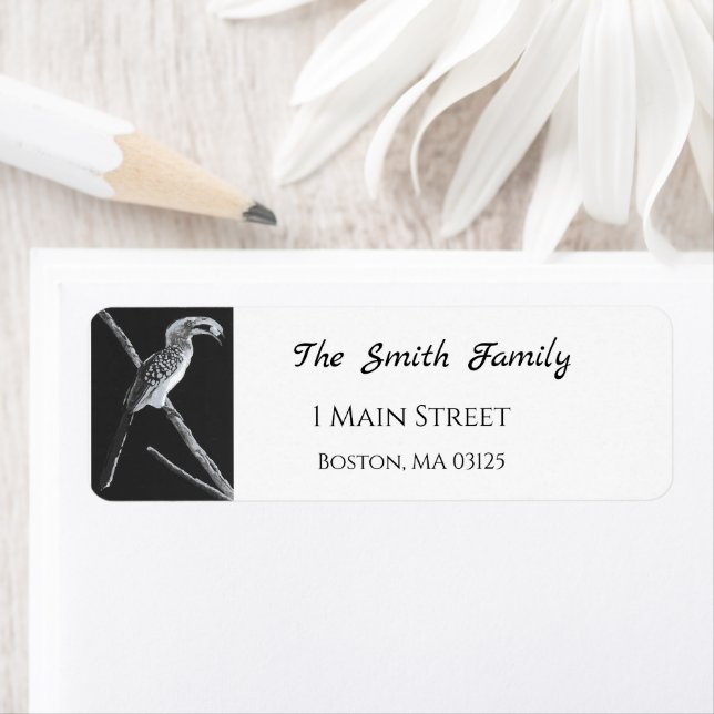 Gelber Buchenbarsch, Kalahari (Insitu)