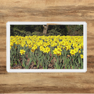 Gelber Daffodischer Garten Blumen Acryl Tablett
