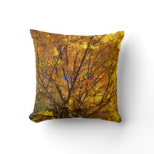 Gelber Fall Foliage