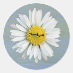 Gelber Farbhintergrund  Daisy Foto Thankyou Runder Aufkleber