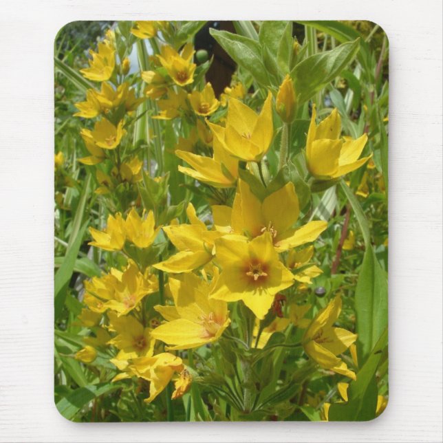 Gelber Felberich Mousemat Mousepad (Vorne)