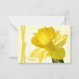 Gelber Frühling Daffodil Nah-up Floral Fotografie Mitteilungskarte