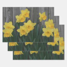 Gelber Frühling Düstergarten Rustikales Foto Geschenkpapier Set