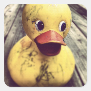 Gelber Gummi Ducky braucht einen Bath! Quadratischer Aufkleber