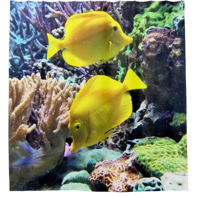 Gelber Hawaiianfisch Duschvorhang (Vorderseite)