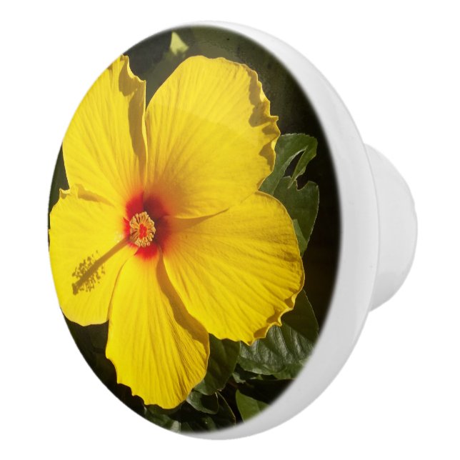 Gelber Hibiskus Blume Keramik Knochen Keramikknauf (Rechts)