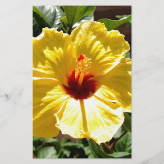 Gelber Hibiskus Briefpapier