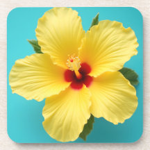 Gelber Hibiskus
