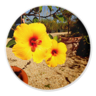 Gelber Hibiskus Keramik Keramikknauf