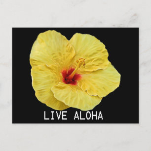 Gelber Hibiskus Postkarte