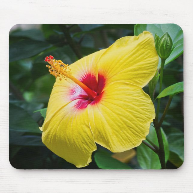 Gelber Hibiskus Sideview Mousepad (Vorne)