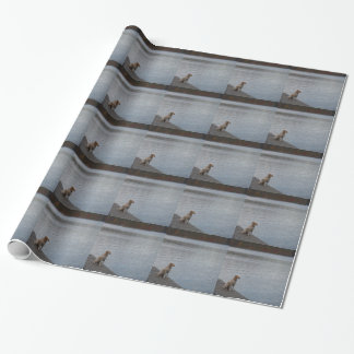 Gelber Hund auf Dock Geschenkpapier