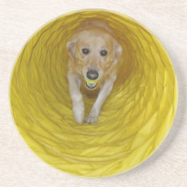 Gelber Hund im gelben Tunnel mit gelbem Ball Untersetzer