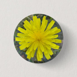 Gelber König Teufel der Wildblume-F16 Button