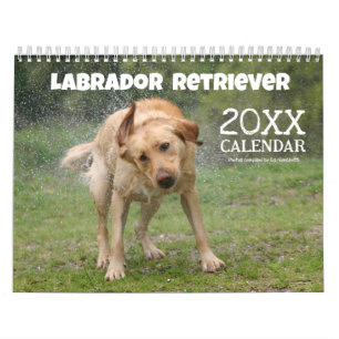 Gelber Lab Labrador Retriever Süßer Hund Kalender
