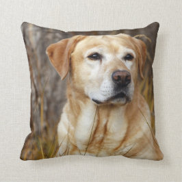 Gelber Labrador auf dem Gebiet Kissen